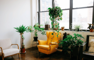 A therapist's office with a yellow chair and topiary surrounding it.